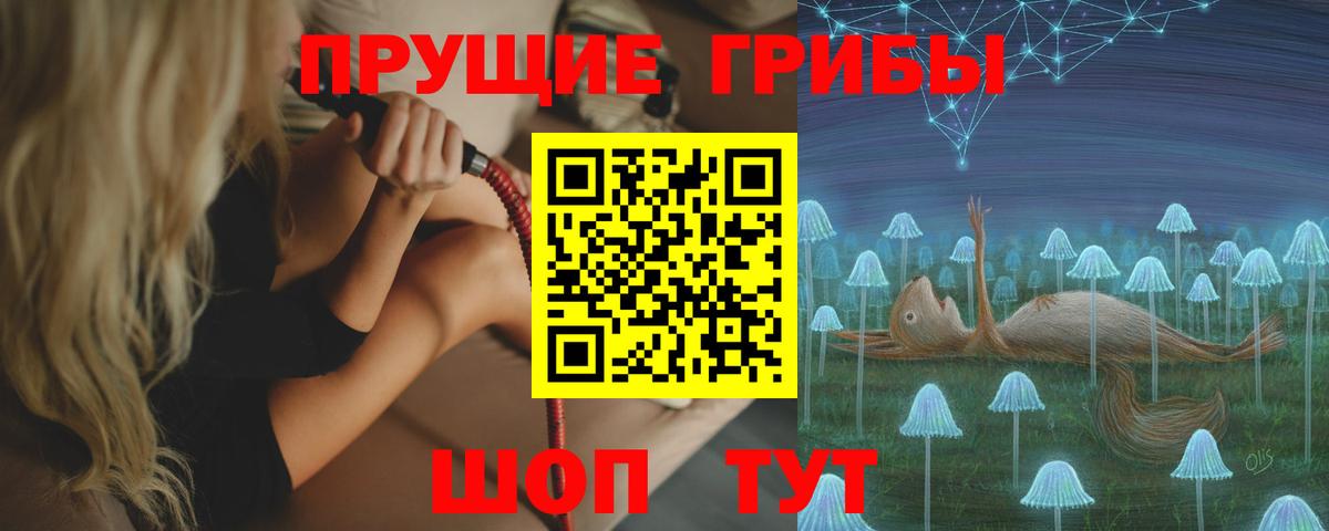 купить наркотики цена  Псилоцибиновые грибы Psilocybine cubensis  Вход с VPN  Чебаркуль 