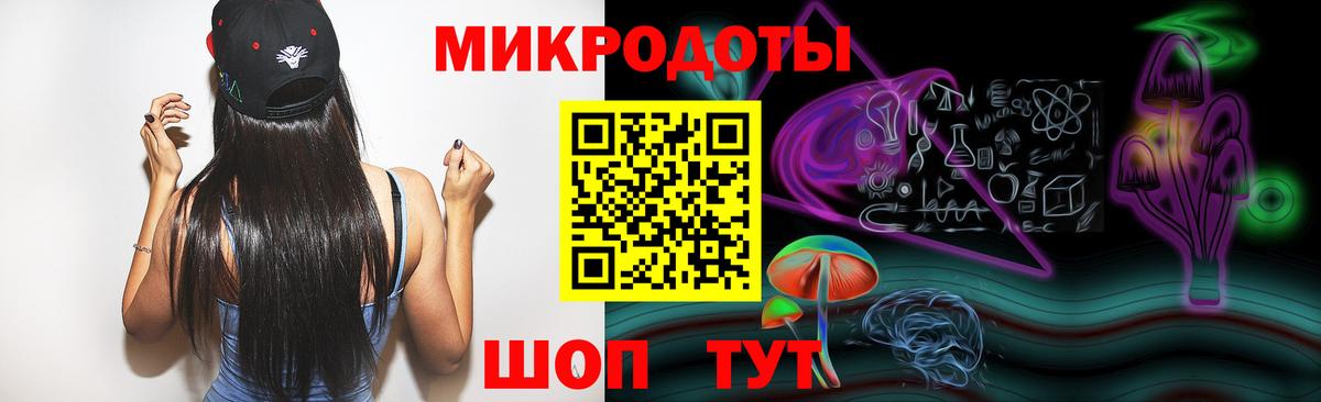 Псилоцибиновые грибы Psilocybine cubensis Чебаркуль